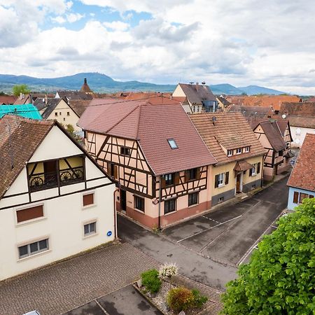 La Ruine - Gite D'Alsace Jusqu'A 10 Personnes Avec Spa Interieur Guemar Экстерьер фото